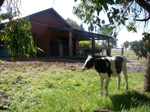 SilverSprings Spa Retreat Pet Friendly Cottages And Glampings - Accommodation Gladstone 23