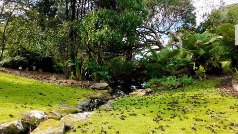 43 Degrees Bruny Island - Accommodation Gladstone 8