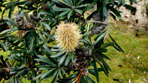 43 Degrees Bruny Island - Accommodation Gladstone 11
