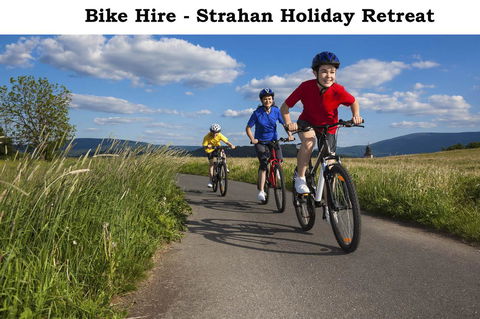 Strahan Retreat Holiday Park - Accommodation Gladstone 18