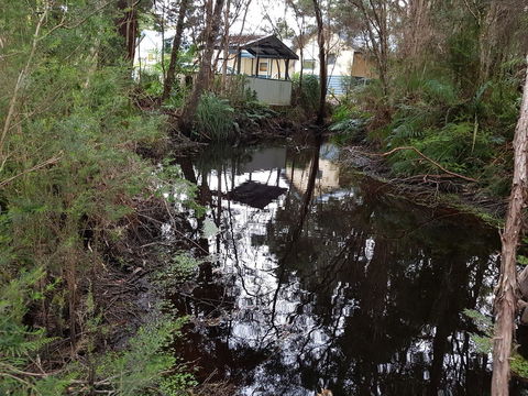 Strahan Retreat Holiday Park - Accommodation Gladstone 33