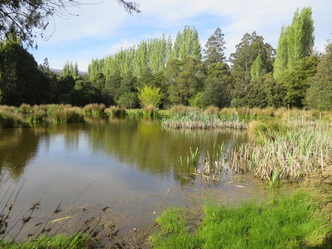 Giants Table And Cottages - Accommodation Gladstone 25