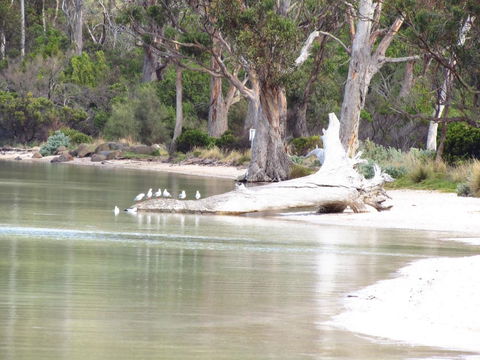 The Boat Shed - Accommodation Gladstone 12