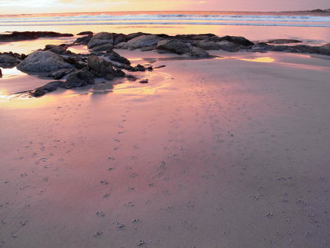 Beachend Bicheno - Accommodation Gladstone 2