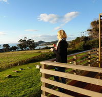 Beachend Bicheno - Accommodation Gladstone