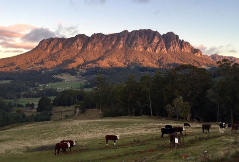 Manna Hill Farm - Accommodation Gladstone 10