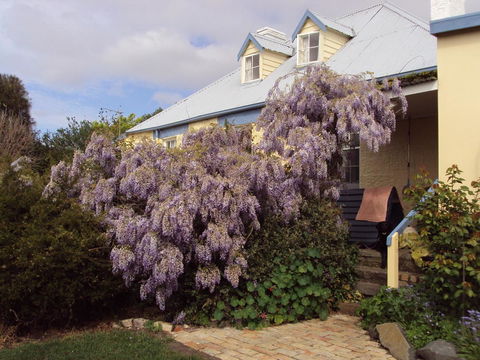 Orford's Sanda House B&B - Accommodation Gladstone 40
