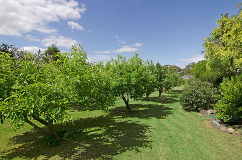 Orford's Sanda House B&B - Accommodation Gladstone 37