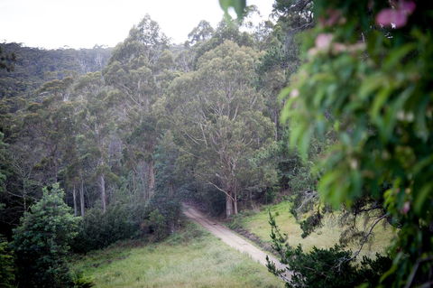 The Pear Cottage - Accommodation Gladstone 19