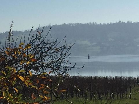 Amble\'a\'While On Tamar - Accommodation Gladstone 23