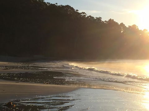 Summertime Cottage - Accommodation Gladstone 7