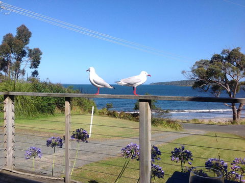 Summertime Cottage - Accommodation Gladstone 25