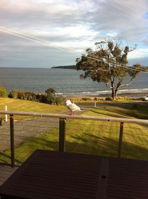 Summertime Cottage - Accommodation Gladstone 30
