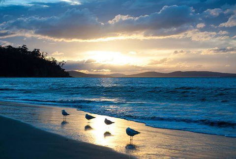 The Ultimate Beach House - Accommodation Gladstone 8