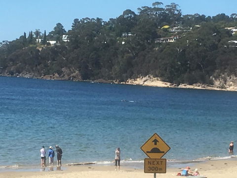 The Ultimate Beach House - Accommodation Gladstone 2