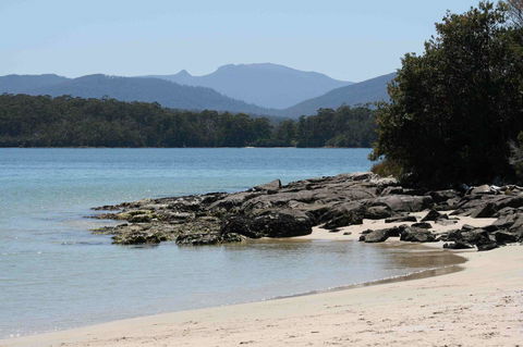 Driftwood - Accommodation Gladstone 14