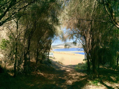 Manfield Seaside Bruny Island - Accommodation Gladstone 32