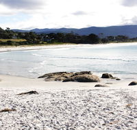 Mermaids of Bicheno - Accommodation Gladstone