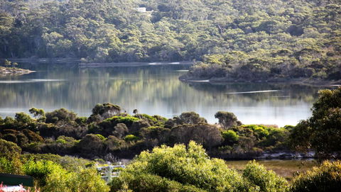 SEA EAGLE COTTAGE Amazing Views Of Bay Of Fires - Accommodation Gladstone 17