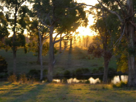 Platypus Park Country Retreat - Accommodation Gladstone 30
