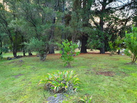 Roland B&B - Accommodation Gladstone 31