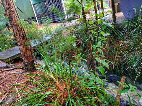 Roland B&B - Accommodation Gladstone 17