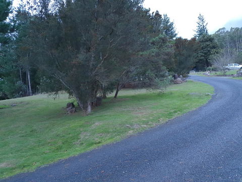 Roland B&B - Accommodation Gladstone 23