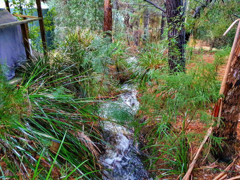 Roland B&B - Accommodation Gladstone 22