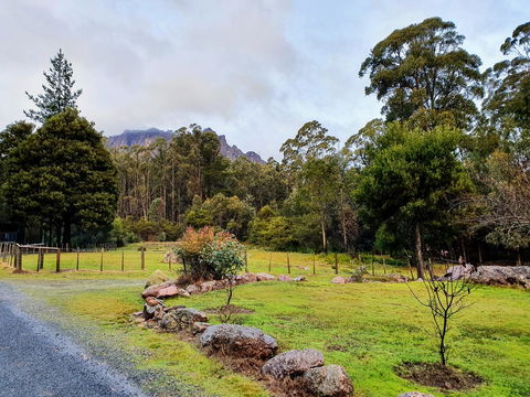 Roland B&B - Accommodation Gladstone 19