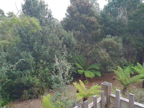 Roland B&B - Accommodation Gladstone 41