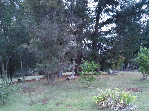 Roland B&B - Accommodation Gladstone 38