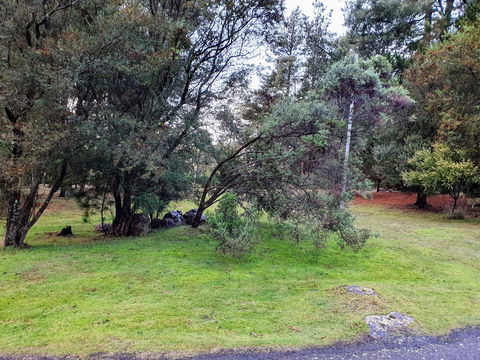 Roland B&B - Accommodation Gladstone 20
