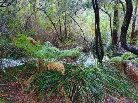 Roland B&B - Accommodation Gladstone 29