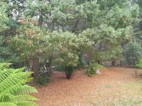 Roland B&B - Accommodation Gladstone 40