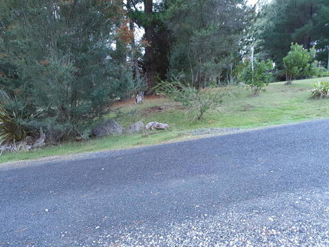 Roland B&B - Accommodation Gladstone 24