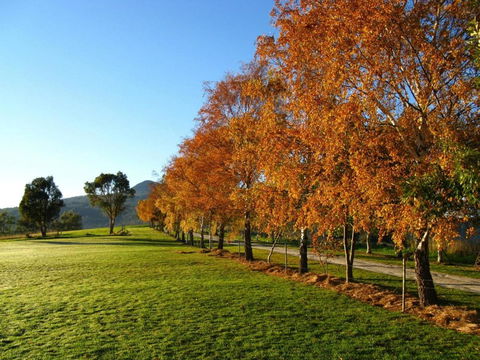 Plovers Ridge Country Retreat - Accommodation Gladstone 8
