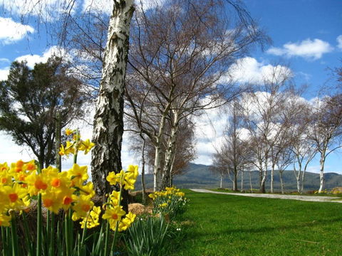 Plovers Ridge Country Retreat - Accommodation Gladstone 4