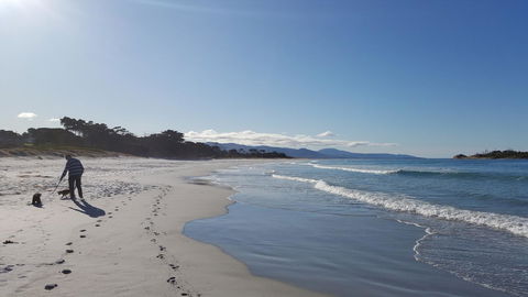 Suntrap Cove Bicheno - Accommodation Gladstone 5