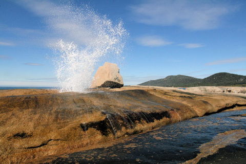 Suntrap Cove Bicheno - Accommodation Gladstone 0