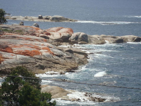 Suntrap Cove Bicheno - Accommodation Gladstone 28