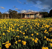 Mountain Blue Guest House - Accommodation Gladstone