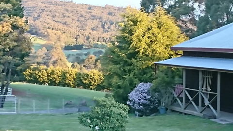 Glengarry Farm Stay BnB - Accommodation Gladstone 7