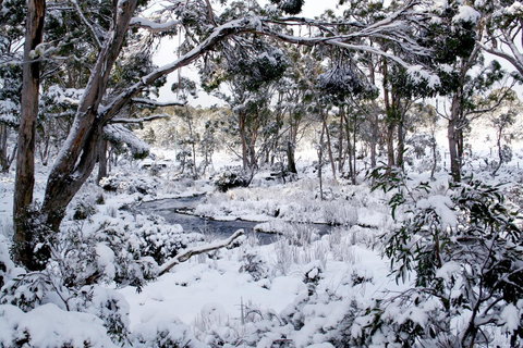 Cradle Mountain Love Shack - Accommodation Gladstone 11
