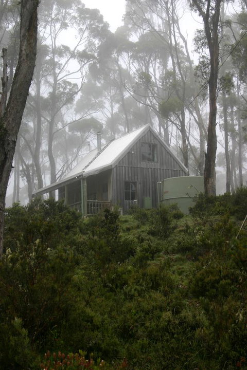 Cradle Mountain Love Shack - Accommodation Gladstone 6