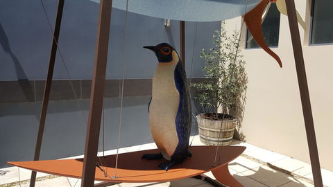 Blu-Sea 365 - Accommodation Gladstone 21