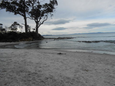 Bruny Ocean Cottage - Accommodation Gladstone 7