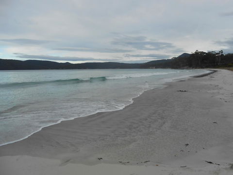 Bruny Ocean Cottage - Accommodation Gladstone 11