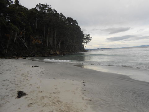 Bruny Ocean Cottage - Accommodation Gladstone 17