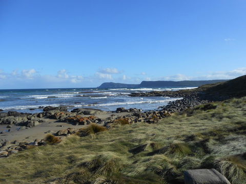 Bruny Ocean Cottage - Accommodation Gladstone 15