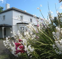 The Grove Cottages - Accommodation Gladstone